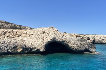 Редактор текстов