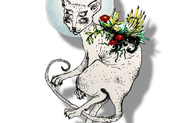 Разработка обложки музыкального альбома