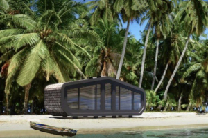 Дом-капсула