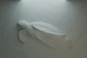 3D модель барельефа в виде черепахи