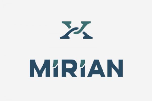 Дизайн логотипа и фирменного стиля компании MIRIAN