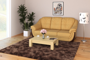 Диван в простеньком интерьере