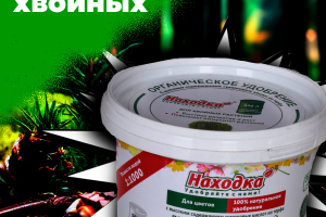 н6ебольшая карточка на ВБ