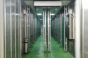 Разработка бизнес-плана по организации производства выращивания шампиньонов в условиях Египта