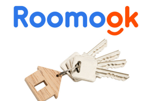 Брендбук и разработка сайта компании "Roomook"