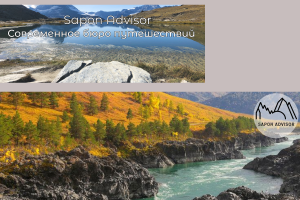 создание сайтов на базе обучения