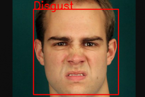 Определение эмоций человека по фото