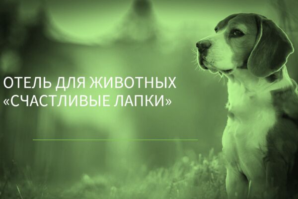 Снимок экрана 2025-03-26 183635.png