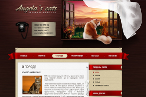 Питомник Мейн кун