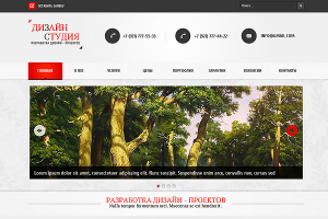 Дизайн студия