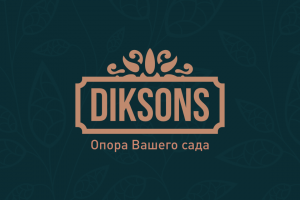 Логотип Диксонс