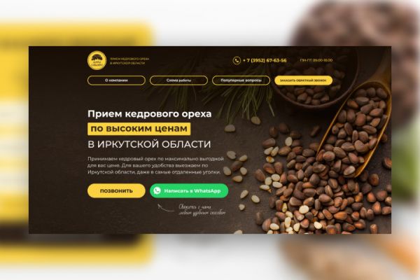 Компания по приему кедрового ореха