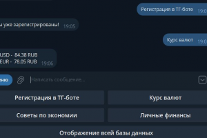 Финансовый бот-помощник