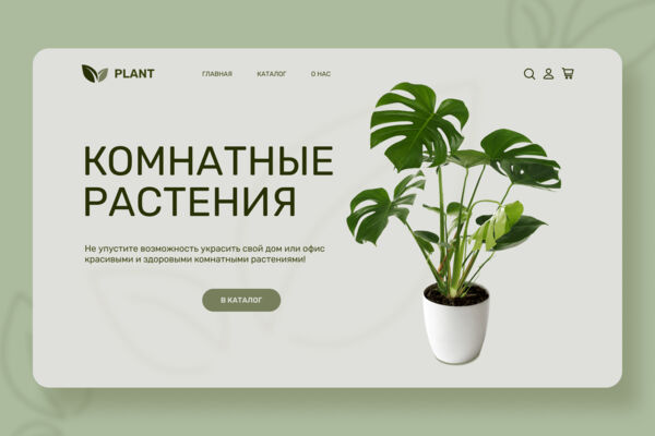 Дизайн-концепт главного экрана сайта магазина комнатных растений