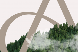 Дизайн и разработка сайта Аксаур