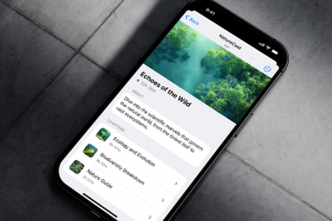 Telegram Mini App