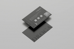 Логотип и визитка для студии бровей