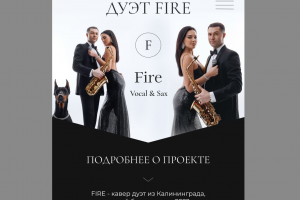 Сайт на Таплинк для музыкального дуэта