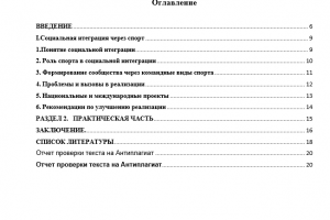 КОНКУРСНАЯ РАБОТА. ПРОЕКТ. "Реализация социальной интеграции с помощью спорта."