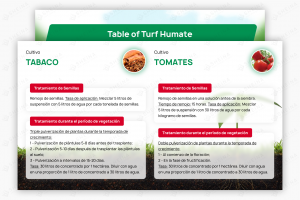 Презентация для Agrotorf (инновационные удобрения)