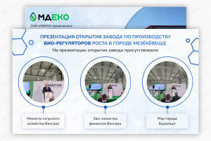 Презентация для МДЕКО (производство био-регуляторов роста)
