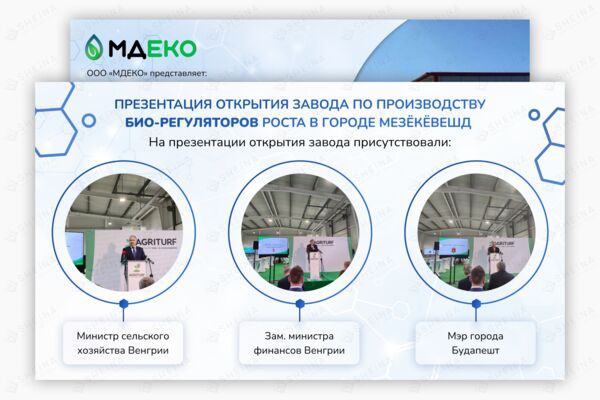 freelance ru 1 обложка.png