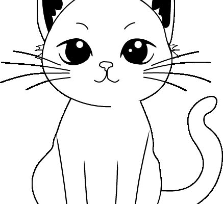 CAT.png