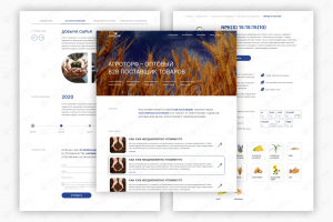 Многостраничный сайт на Тильде для Agrotorf KG (оптовый поставщик), Киргизия