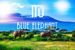 Логотип для магазина одежды.