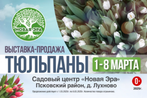 Рекламный ролик для выставки-продажи тюльпанов к 8 Марта