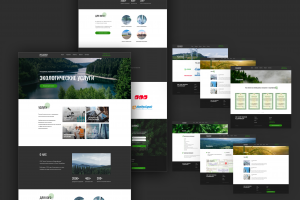 Сайт под ключ на тильде для экологической организации