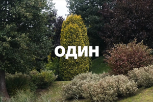 Рекламный ролик для сайта ОТК Garden