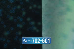 Рекламный ролик для ТВ «Фильтры для воды»