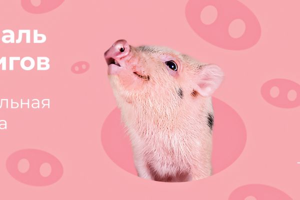 Выставка мини-пигов