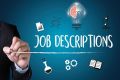 HR Expert (HR Policies, Job Descriptions & Job Grading)