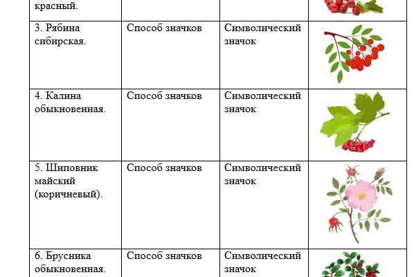 фри.png