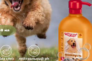 Инфографика «Шампунь для щенков»