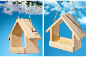 Съемка кормушки для птиц