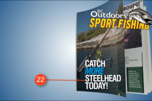 Моушн-дизайн для телевидения и digital-платформ