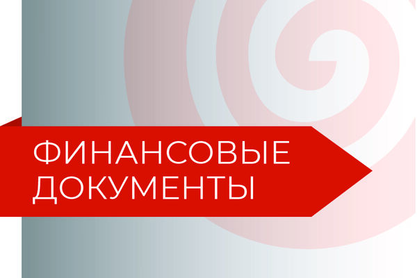 Аудиторский отчет