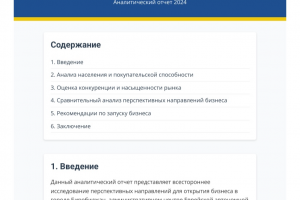 Бизнес план по городу Биробиджан (Пример моей работы) По вашему городу будет точнее