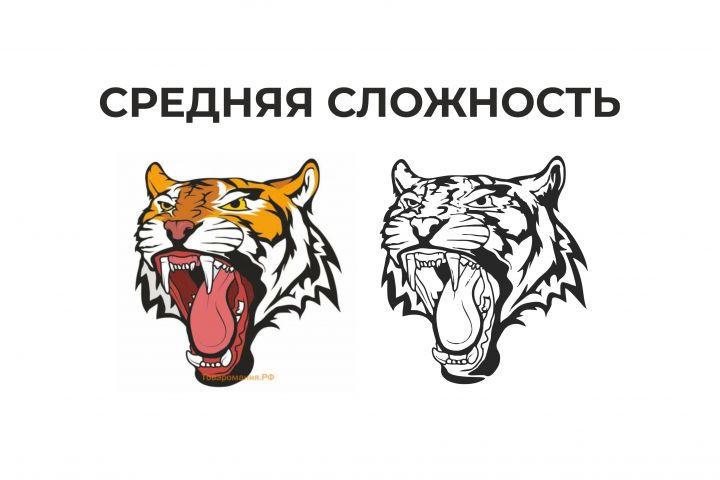 Отрисовка изображения в векторе - 5430051