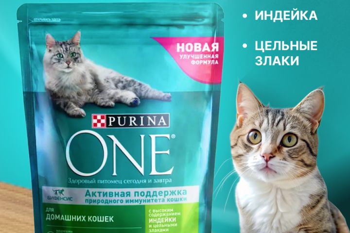 Разработка макетов для печати, наружной рекламы и сувенирной продукции - 5430446