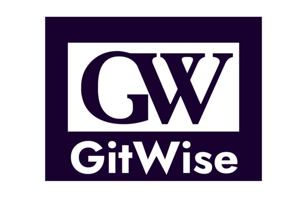 GitWise_Монтажная область 1.png