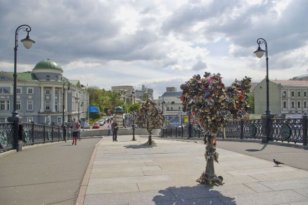 Деревья счастья