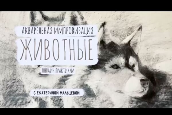 Снимок экрана 2025-04-13 в 20.48.41.png
