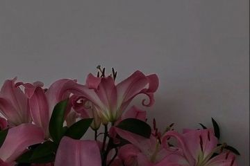 Редактор текстов