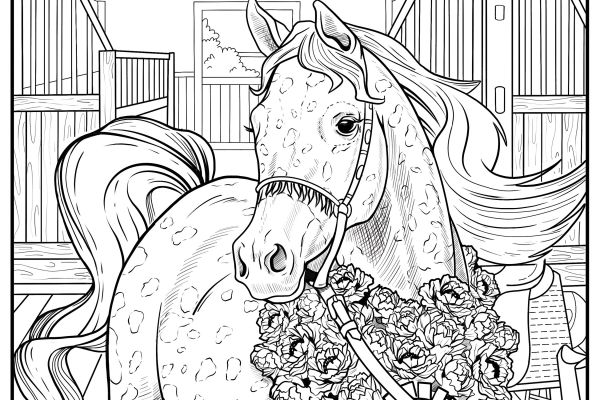 Иллюстрации для книг-раскрасок