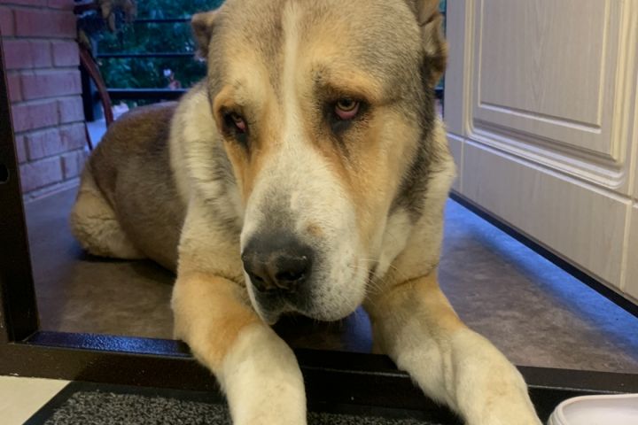 Редактор текста - 5436204