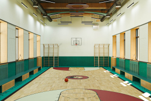 Интерьер. Спортивный зал в школе #1